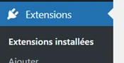 Capture d'écran : menu extensions